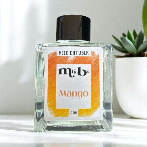 Reed Diffuser – Mrs B's Bath, Body and Home